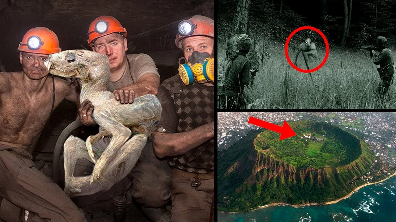 World Wild Updates reaking News, Strange Discoveries & Global Oddities