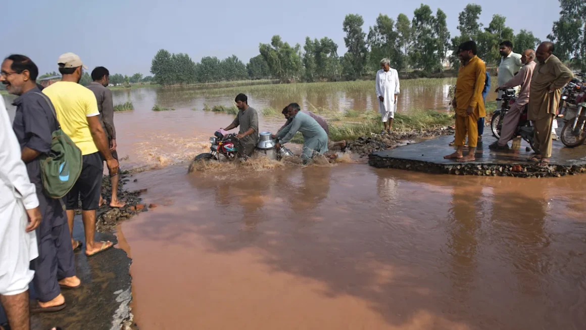 Floods in Pakistan 2025 Causes, Consequences, and Recovery Plans